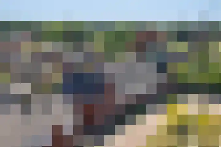 Geronimoplein 12 Veghel thumbnail 33