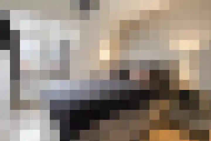 Geronimoplein 14 Veghel thumbnail 14