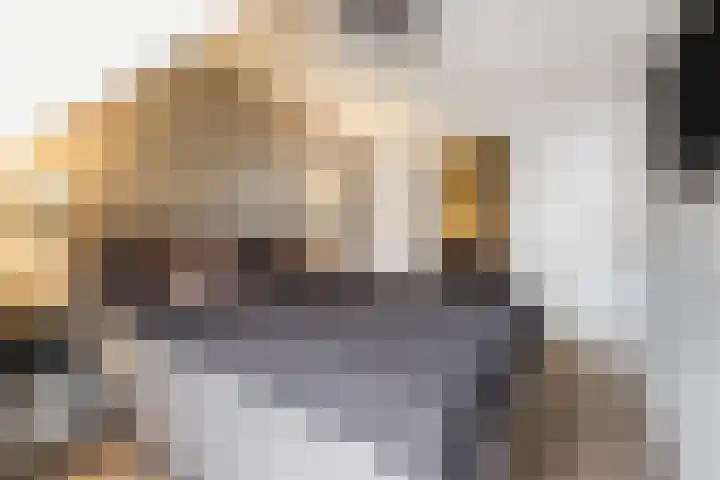 Geronimoplein 14 Veghel thumbnail 15