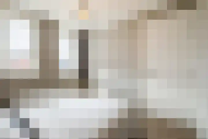 Geronimoplein 14 Veghel thumbnail 17