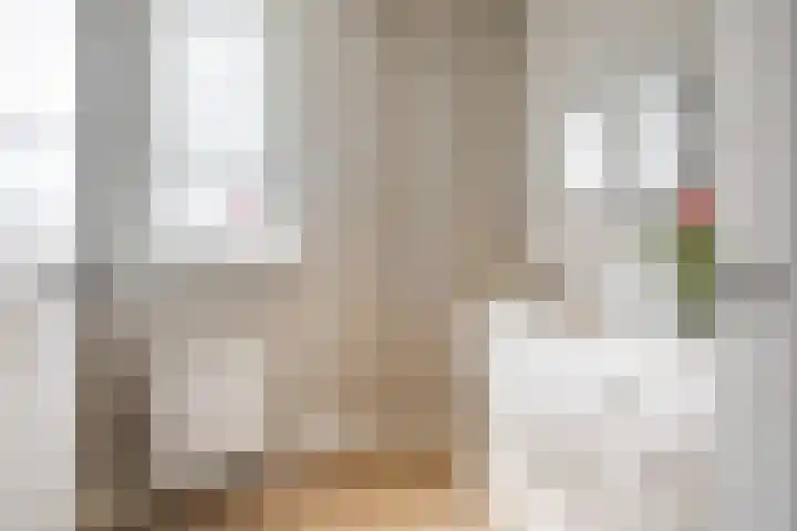 Geronimoplein 14 Veghel thumbnail 18