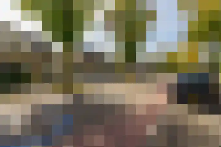 Gerretsonlaan 60 Eindhoven thumbnail 10