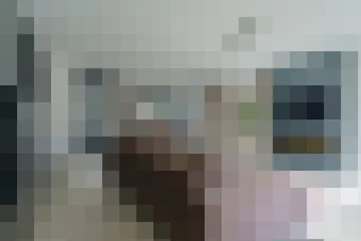 Gerretsonlaan 60 Eindhoven thumbnail 18