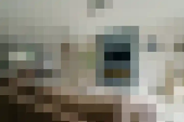 Gerretsonlaan 60 Eindhoven thumbnail 19