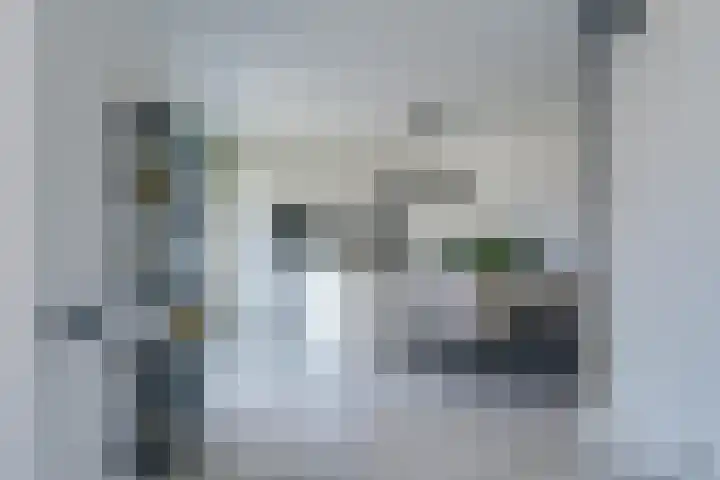 Gerretsonlaan 60 Eindhoven thumbnail 21