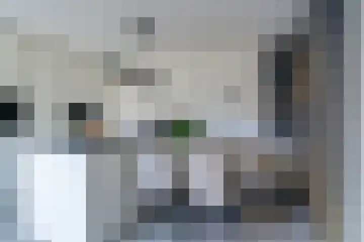 Gerretsonlaan 60 Eindhoven thumbnail 22