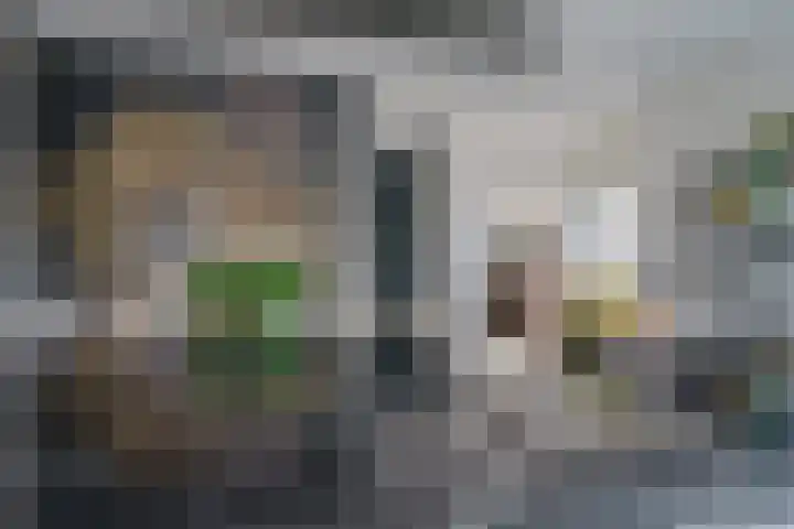 Gerretsonlaan 60 Eindhoven thumbnail 25