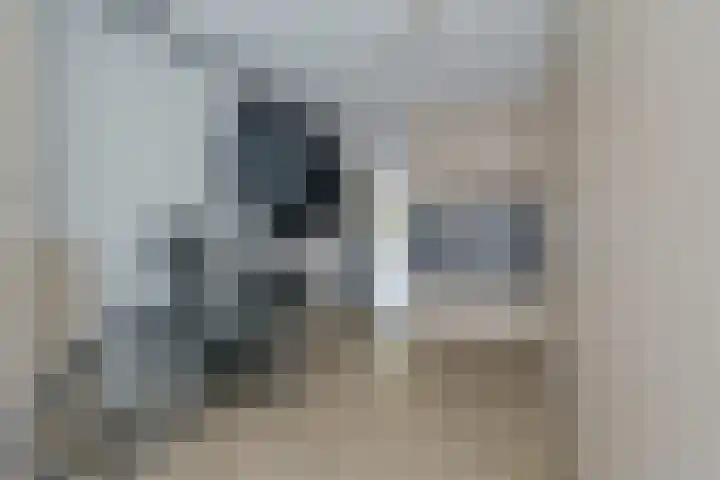 Gerretsonlaan 60 Eindhoven thumbnail 27