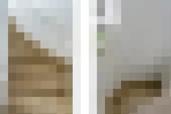 Gerretsonlaan 60 Eindhoven thumbnail 30