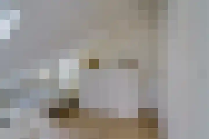 Gerretsonlaan 60 Eindhoven thumbnail 35
