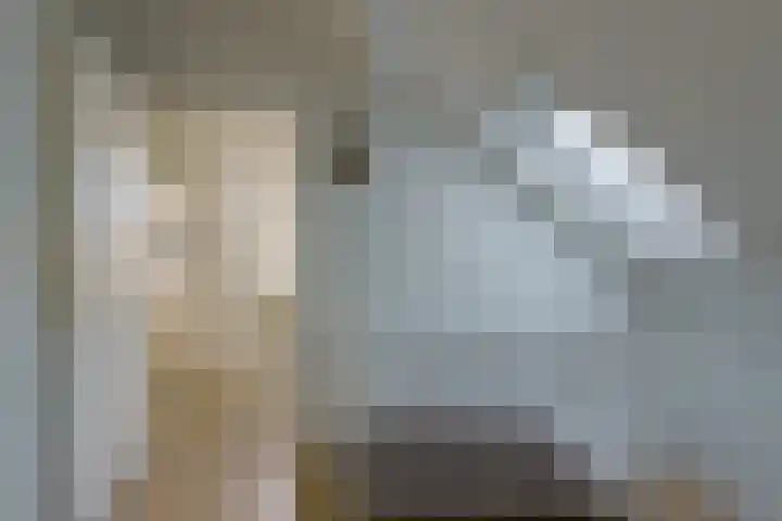 Gerretsonlaan 60 Eindhoven thumbnail 38