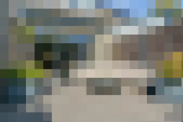 Gerretsonlaan 60 Eindhoven thumbnail 47