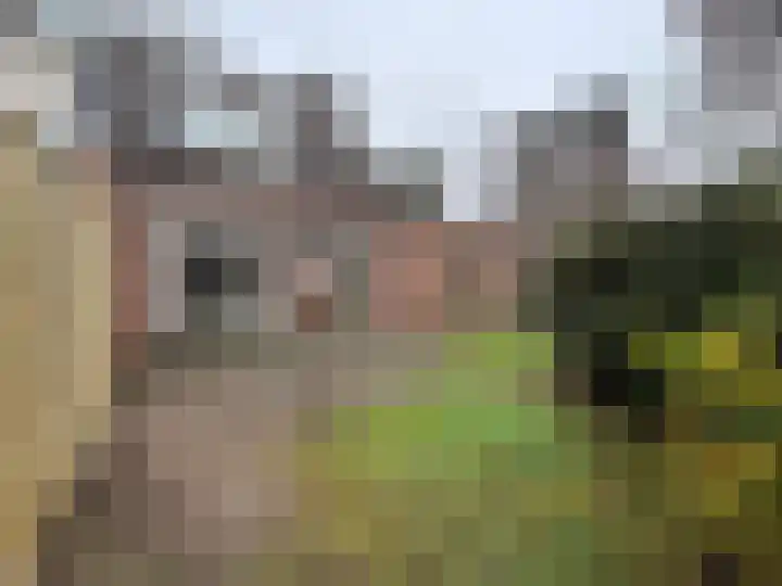 Gerretsonlaan 80 Eindhoven thumbnail 25
