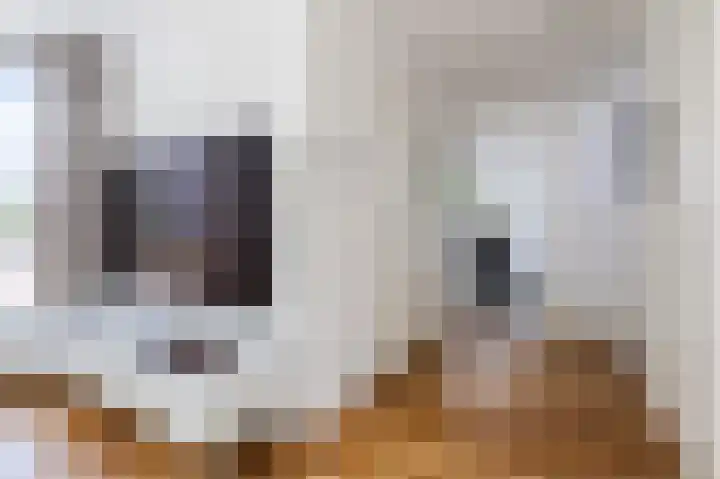 Gerrit Achterberglaan 2 De Meern thumbnail 16