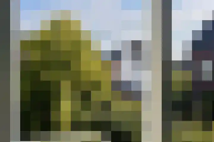 Gerrit Achterberglaan 2 De Meern thumbnail 30
