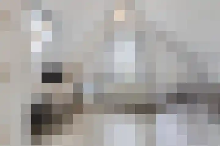 Gerrit Achterberglaan 2 De Meern thumbnail 43