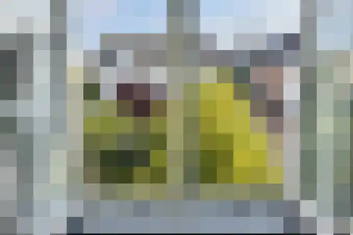 Gerrit Achterberglaan 2 De Meern thumbnail 46