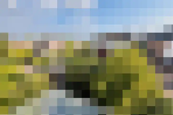 Gerrit Achterberglaan 2 De Meern thumbnail 47