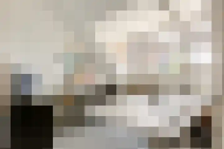 Gerrit Greupstraat 5 Schoonhoven thumbnail 61