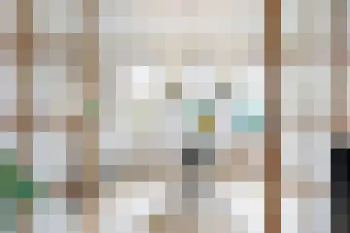 Gerrit Schutlaan 1 Heelsum thumbnail 10