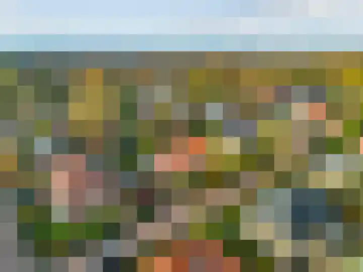 Gerrit Schutlaan 1 Heelsum thumbnail 38