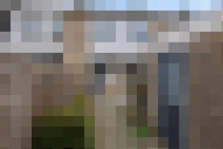 Gerritsstraat 26 Diever thumbnail 15