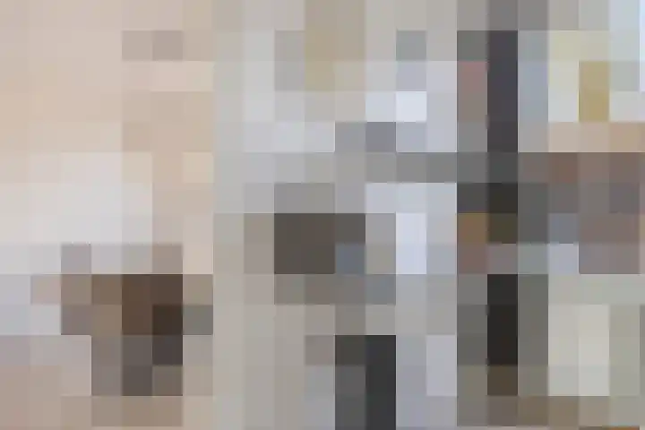 Gerritsstraat 51 Diever thumbnail 10