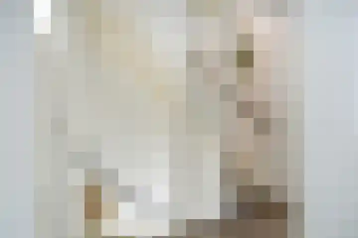 Gerritsstraat 51 Diever thumbnail 15