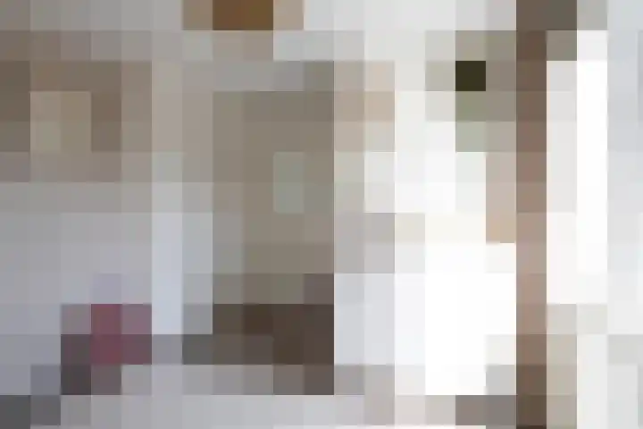 Gerritsstraat 51 Diever thumbnail 22