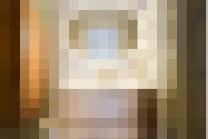 Gerritsstraat 51 Diever thumbnail 25