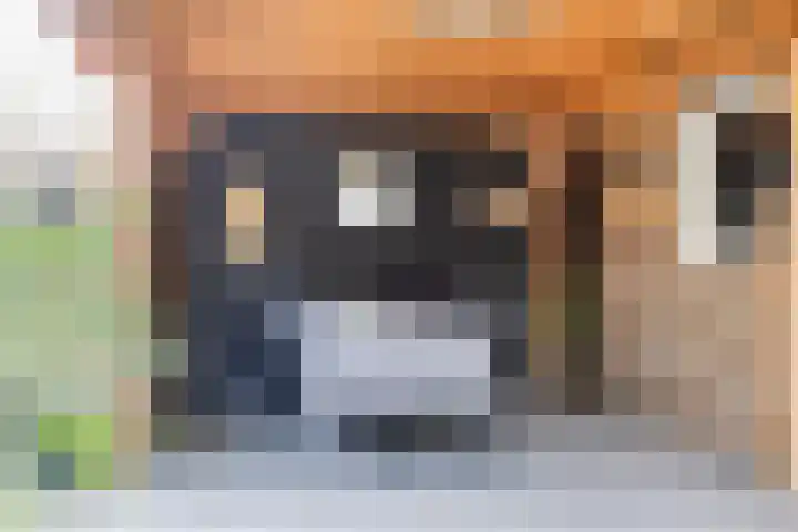 Gerritsstraat 51 Diever thumbnail 32