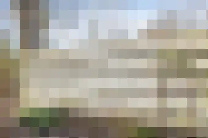 Gerritsstraat 51 Diever thumbnail 38