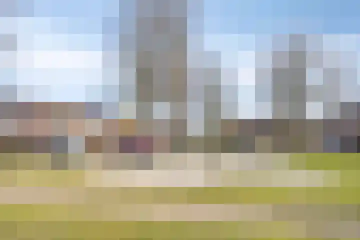 Gerritsstraat 51 Diever thumbnail 39