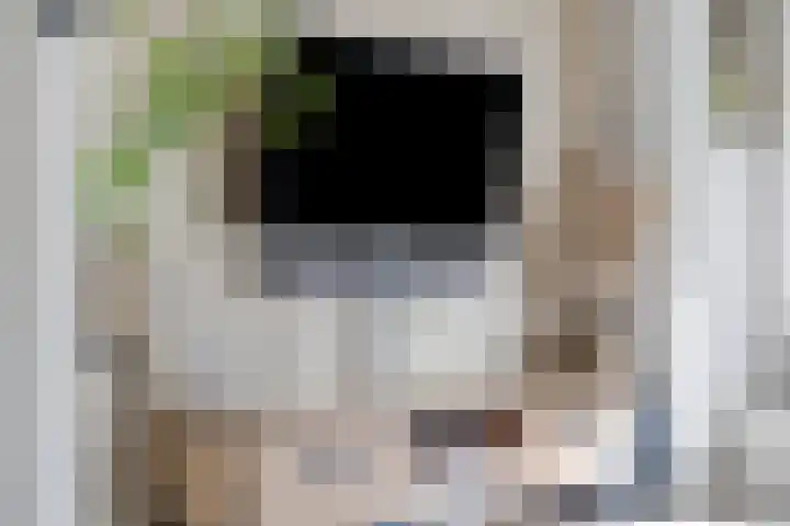 Gerritsstraat 51 Diever thumbnail 4