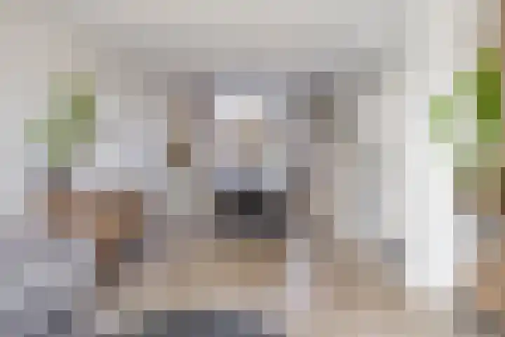 Gerritsstraat 51 Diever thumbnail 5