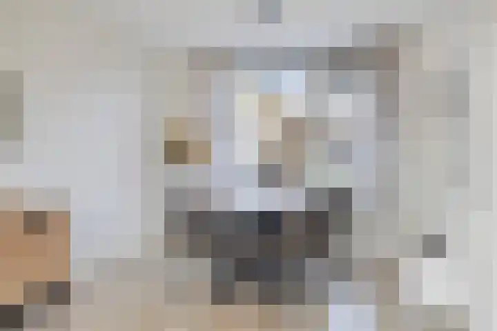 Gerritsstraat 51 Diever thumbnail 7