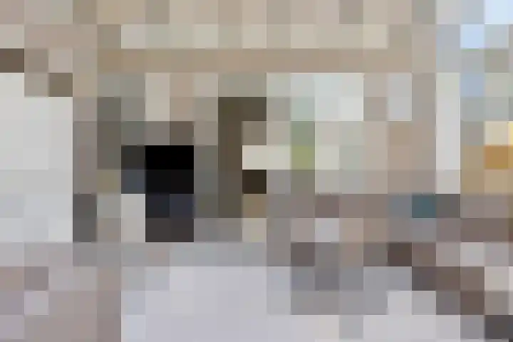 Gerst 7 Mierlo thumbnail 18