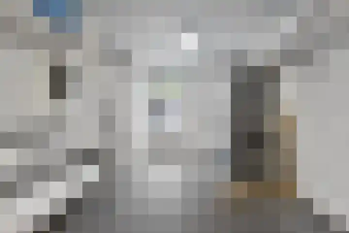 Gerst 7 Mierlo thumbnail 23