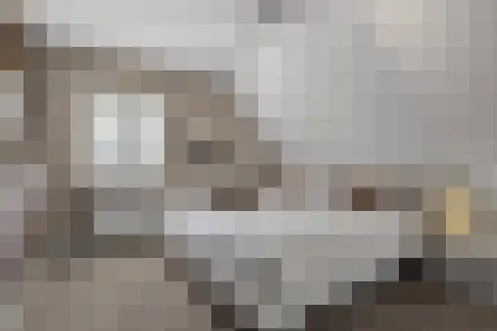 Gerst 7 Mierlo thumbnail 28