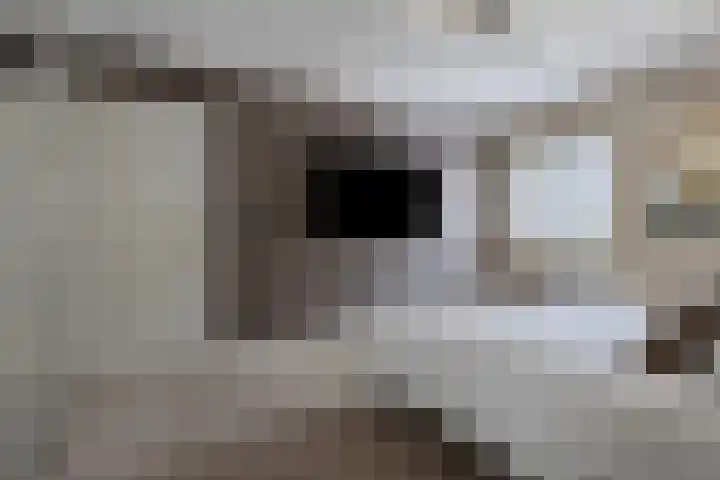 Gerst 7 Mierlo thumbnail 29