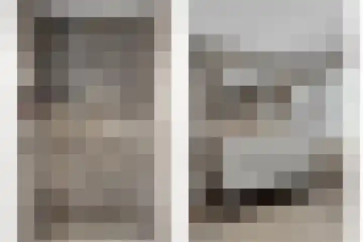 Gerst 7 Mierlo thumbnail 32