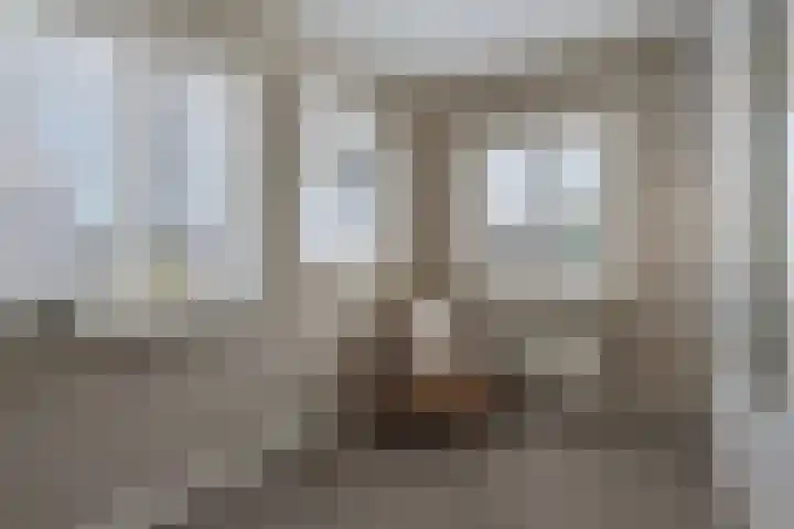 Gerst 7 Mierlo thumbnail 33