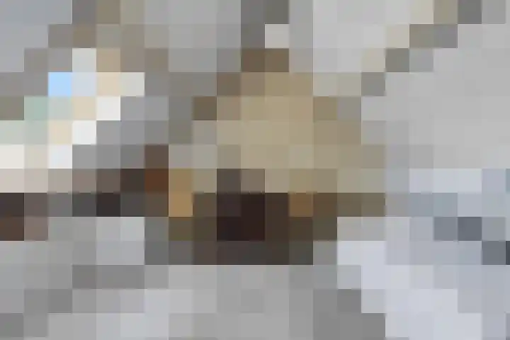 Gerst 7 Mierlo thumbnail 38