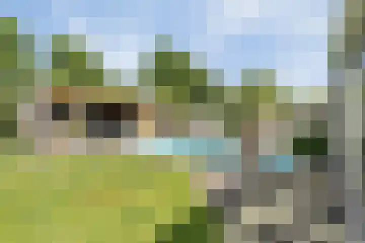 Gerst 7 Mierlo thumbnail 41
