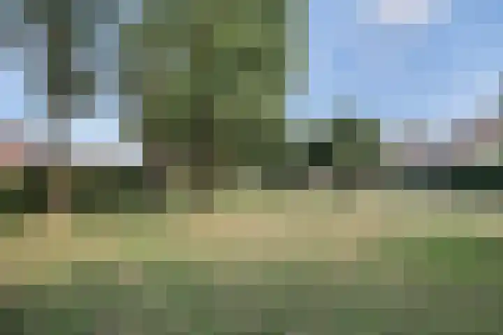 Gerst 7 Mierlo thumbnail 48