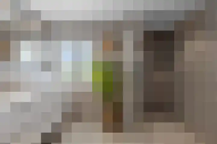 Gerst 7 Mierlo thumbnail 5