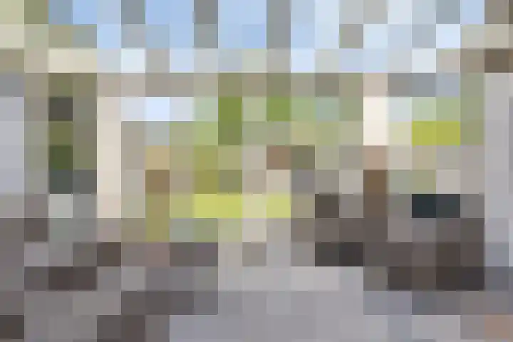 Gerst 7 Mierlo thumbnail 6