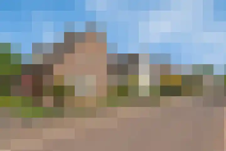 Gerst 7 Mierlo thumbnail 8