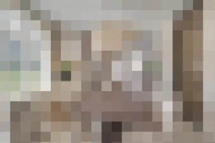 Gerstacker 1 Veldhoven thumbnail 10
