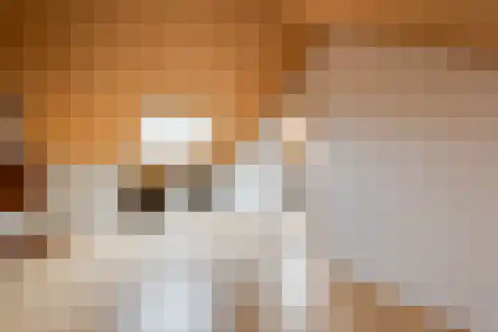 Gerstdreef 96 Doetinchem thumbnail 12